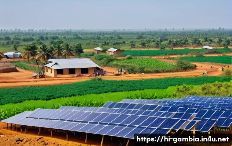 감비아와 아프리카 연합 관련 이미지 2